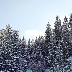 Meet your Posher, Sia